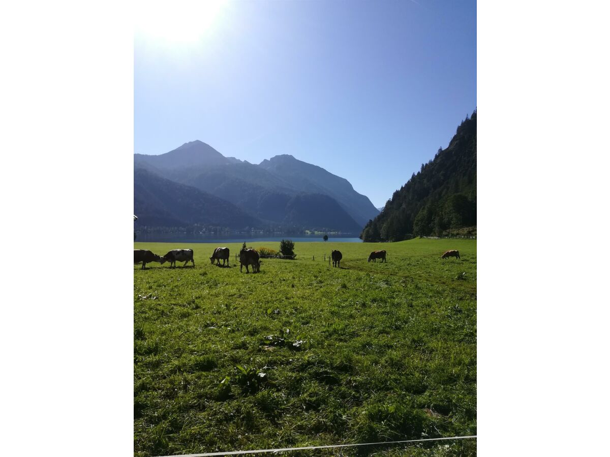 Ferienwohnung Hinterwinkl - Blick zum See