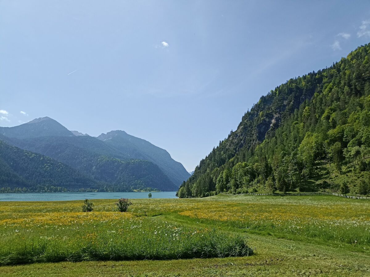 Ferienwohnung Hinterwinkl - Sommer