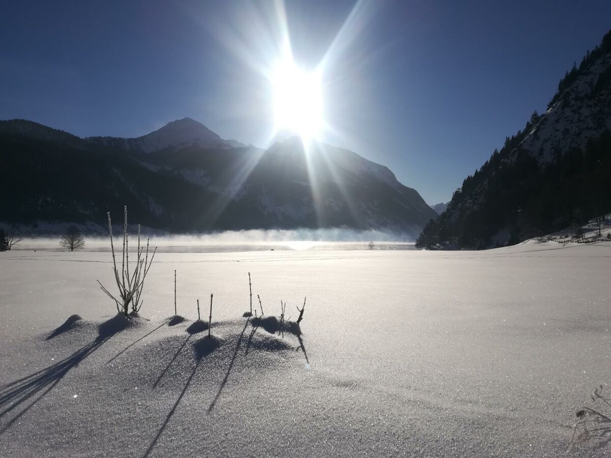 Ferienwohnung Hinterwinkl - Blick zum See 1