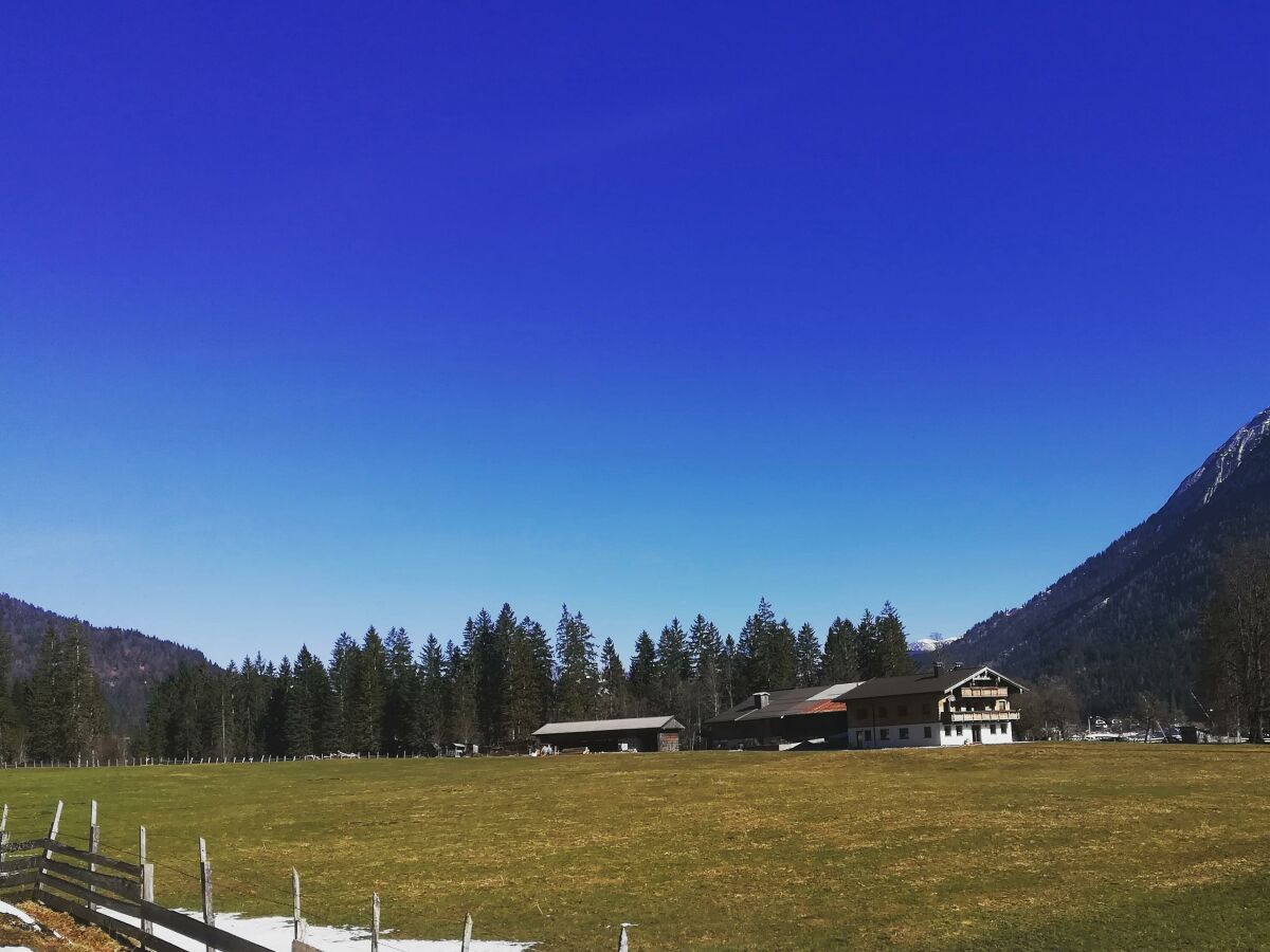 Ferienwohnung Hinterwinkl - Frühling