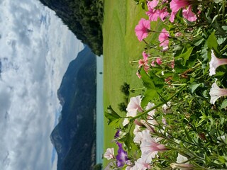 Ferienwohnung Hinterwinkl -Blick zum See