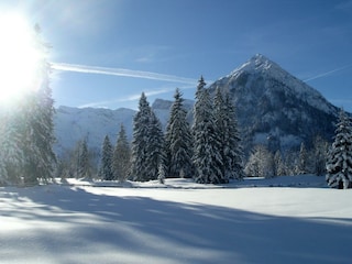 Aussicht von der Pension zum Tristenkopf