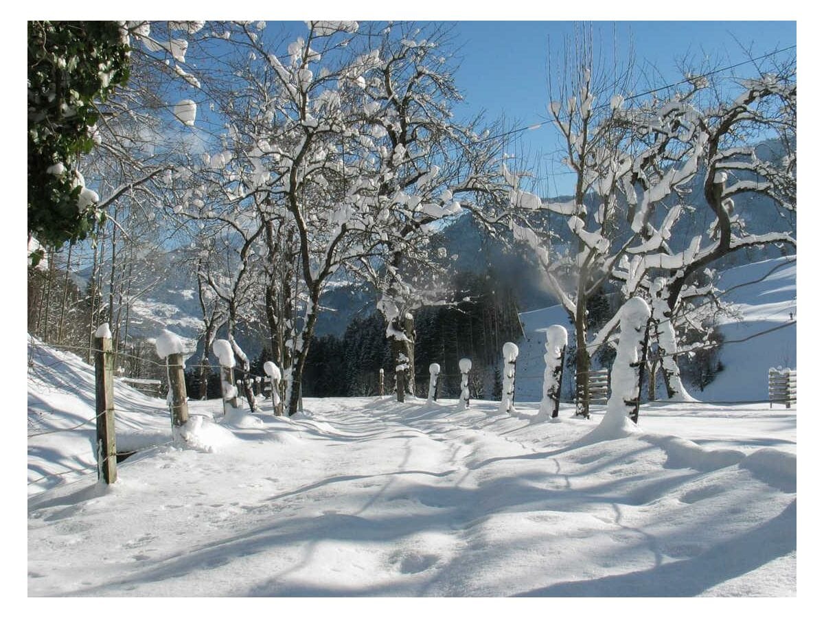 winterliche Umgebung beim Stangleggerhof