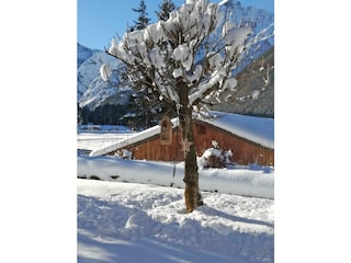 Winterstimmung im Garten