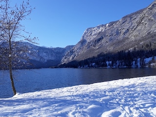 Ferienwohnung Bohinjska Bistrica Umgebung 29