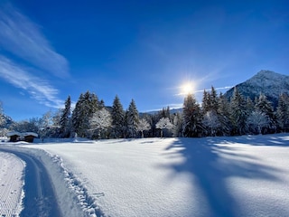 Wintertraum