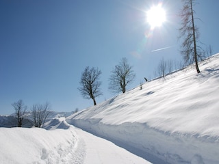 Wanderung zum Feilkopf