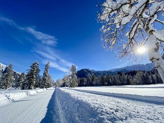 Winterlandschaft in Pertisau