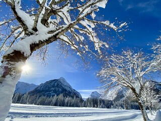 Neuschnee