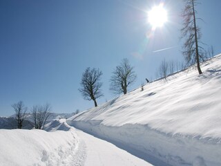 Wanderung zum Feilkopf