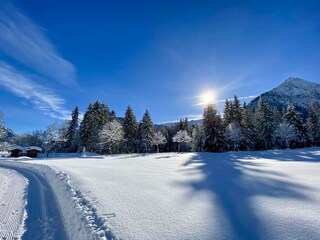 Wintertraum