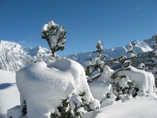 Schnee