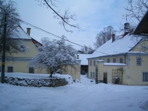 Ferienwohnung in alter Mühle "Vodolenka" - Domazlice - image1