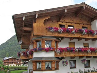 Apparthaus Alpina - Außenansicht Sommer