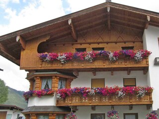 Apparthaus Alpina von vorne - Außenansicht Sommer