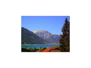Ferienwohnung Landhaus LechnerAusblick auf den See