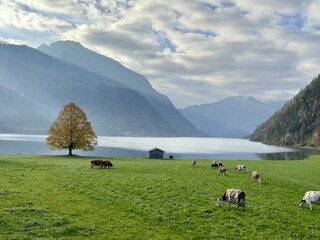 Blick von Ferienwohnung Rofan und Karwendel