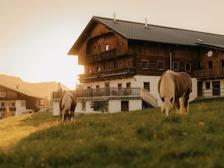 2026_Tuxerhof_Sommer_©GeislerStudio-35