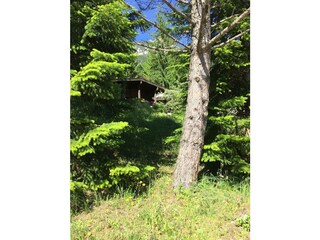 Achensee_Ferienhaus_Luise_03_Mai17