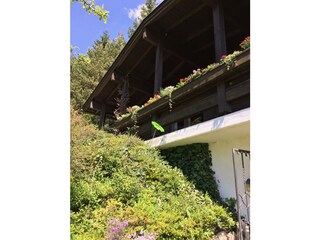 Achensee_Ferienhaus_Luise_04_Mai17