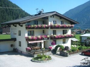 Apartment Wohnung 4 - Pertisau am Achensee - image1