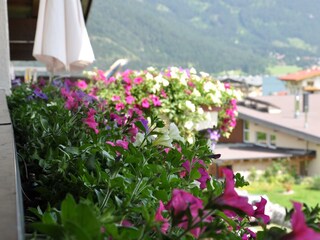 Blick zum See vom Balkon