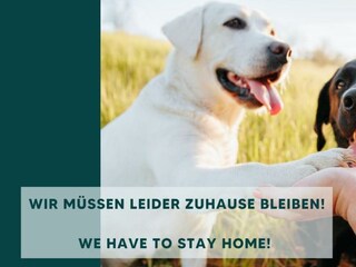 07 Haustiere nicht erlaubt