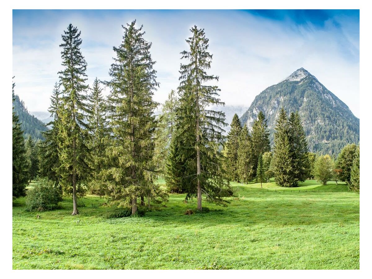 Aussicht von den Appartements