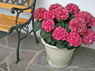 Blumen Deko - vor dem Haus