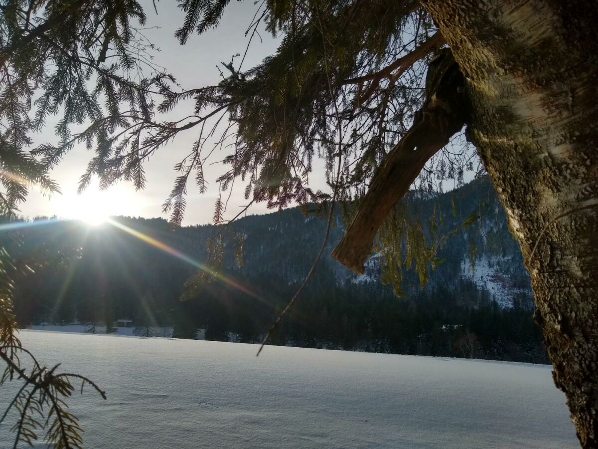 Winterlandschaft. Die Natur schläft