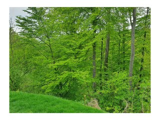 Casa per le vacanze Extertal Ambiente 24