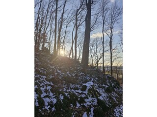 Casa per le vacanze Extertal Ambiente 25