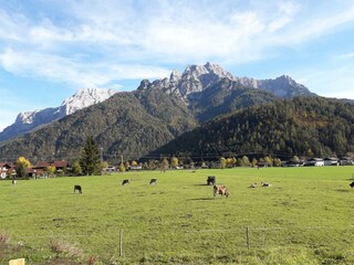 Terrassenausblick Herbst Panorama