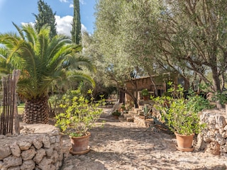 Ferienhaus Costitx Außenaufnahme 8