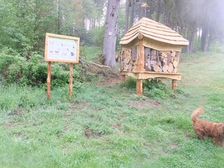 Holiday apartment Beuren (Hochwald) Environment 30