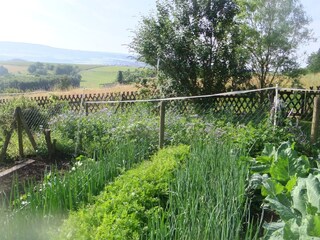 Holiday apartment Beuren (Hochwald) Outdoor Recording 5