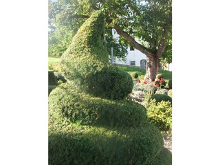 Holiday apartment Beuren (Hochwald) Outdoor Recording 14