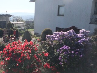 Holiday apartment Beuren (Hochwald) Outdoor Recording 17