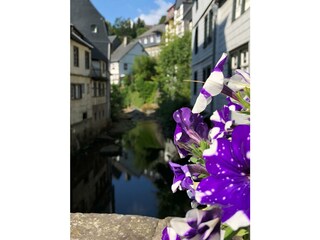 Holiday house Monschau Environment 17