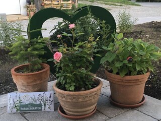 Holiday apartment Halblech Environment 39