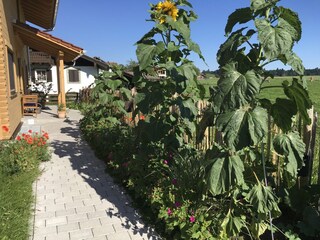 Holiday apartment Halblech Outdoor Recording 7