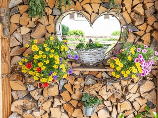 Holiday apartment Halblech Outdoor Recording 8