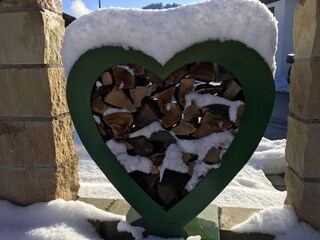 Holiday apartment Halblech Outdoor Recording 6