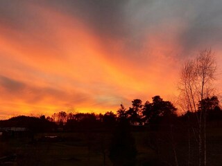 Abendstimmung im Pfälzerwald