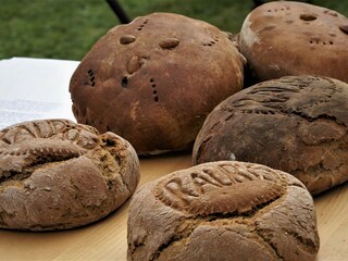 Vakantieappartement Rauris Omgeving 19