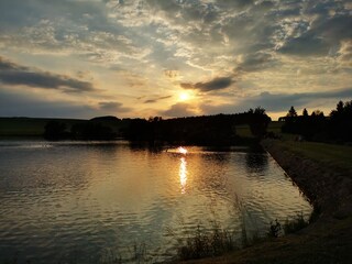 Abendstimmung am Teich
