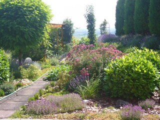 Weg zum Sitzplatz an Weinbergen