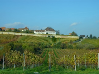 Blick auf Herxheim