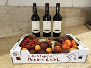 Villa Montpellier Caratteristiche 18