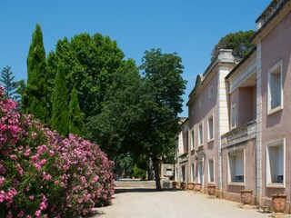 Villa Montpellier Außenaufnahme 8